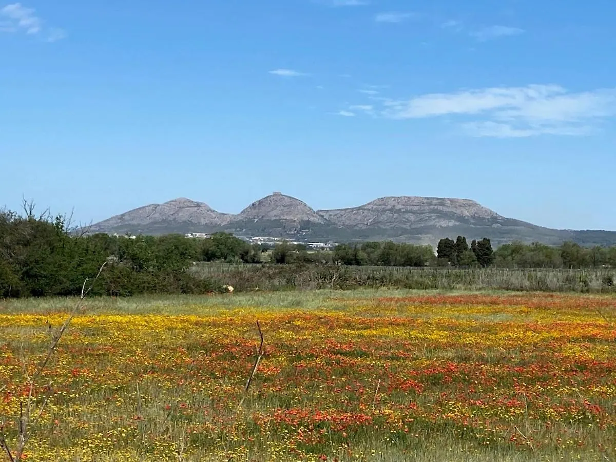 Torre Bertrana By Duquessa Hotel Collection パルス 0*,